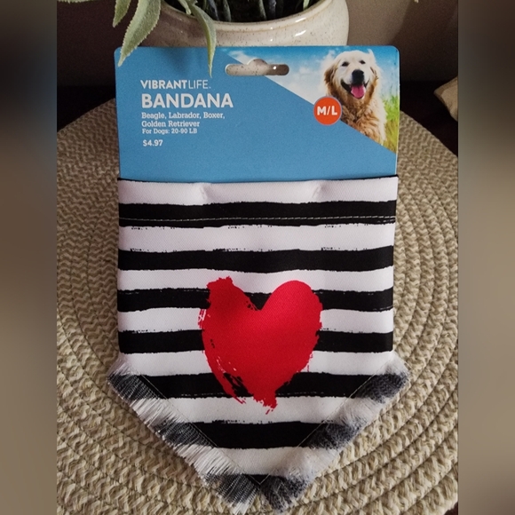 Vibrant Life® Bandana - Picture 1 of 6